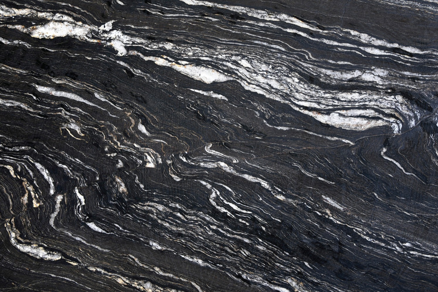 ĐÁ GRANITE VÂN RỪNG CÂY (BLACK FOREST)